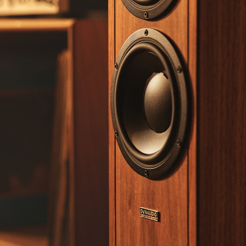 Home audio speakers | High-end speakers for home